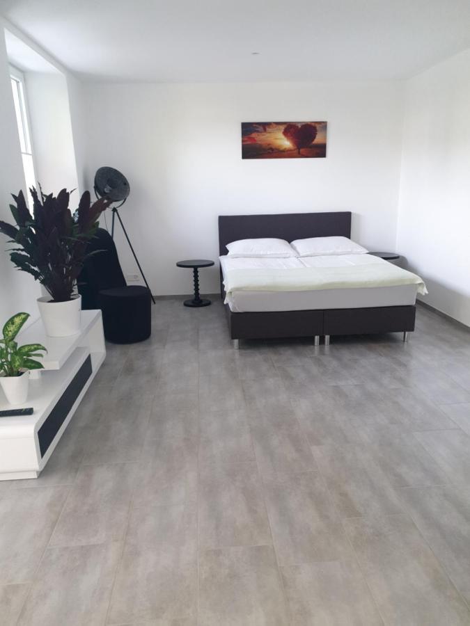 Business Apartment Turgi Ngoại thất bức ảnh